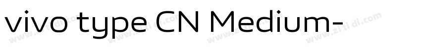vivo type CN Medium字体转换 vivo type CN Medium字体转换